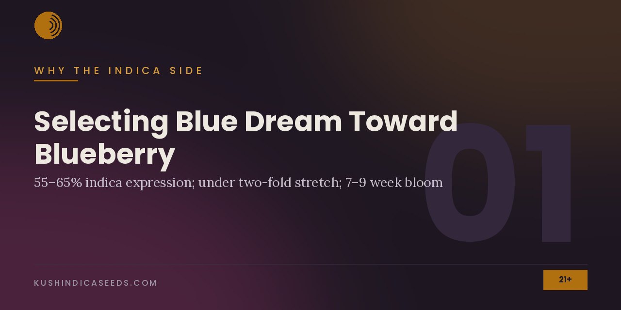 Section banner noting 55 to 65 percent indica expression, an under two-fold stretch and a 7 to 9 week bloom