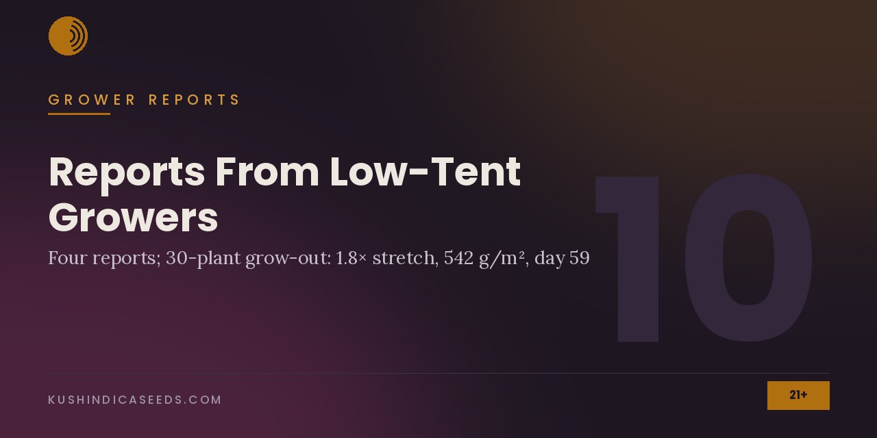 Section banner noting four reports and a 30-plant grow-out with 1.8 times stretch, 542 grams per square metre and harvest at day 59
