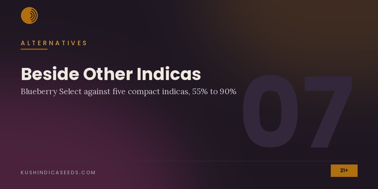 Section banner noting Blueberry Select against five compact indicas from 55 to 90 percent