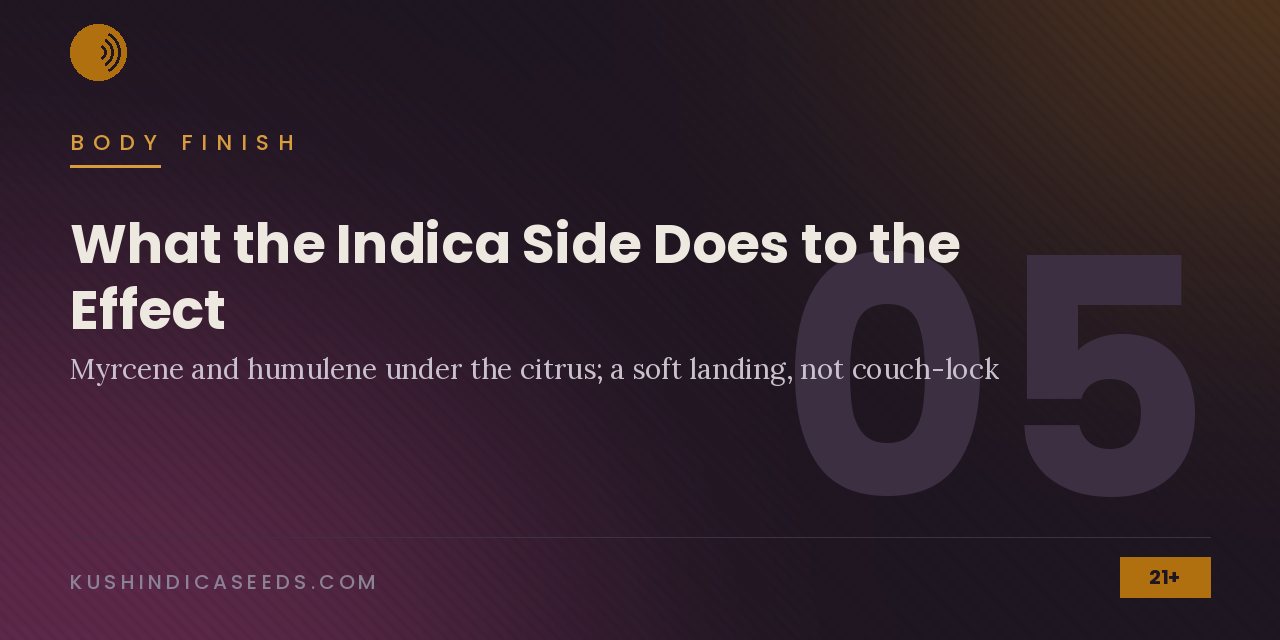 Section banner on the body finish: myrcene and humulene under the citrus, a soft landing rather than couch-lock