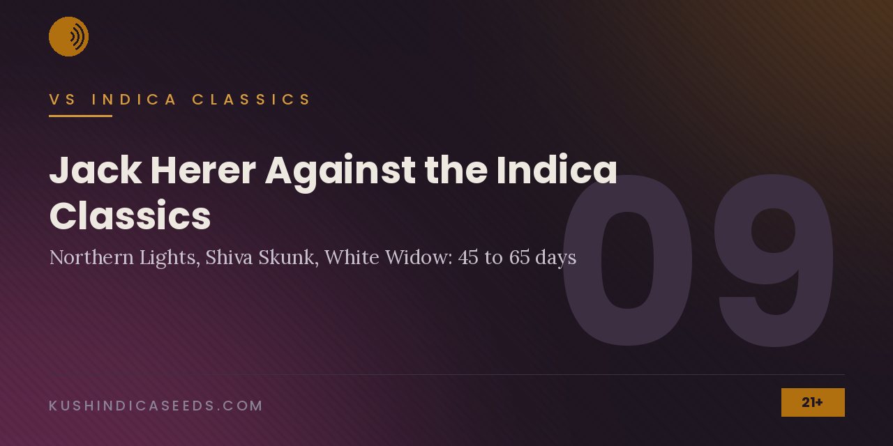 Section banner comparing Jack Herer with Northern Lights, Shiva Skunk and White Widow, flowering 45 to 65 days