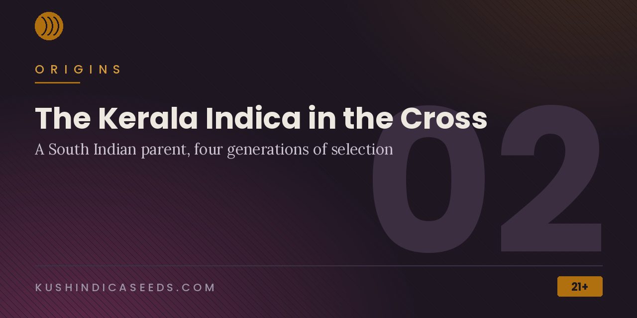 Section banner on the Kerala-type indica parent and four generations of selection from Dutch Passion stock
