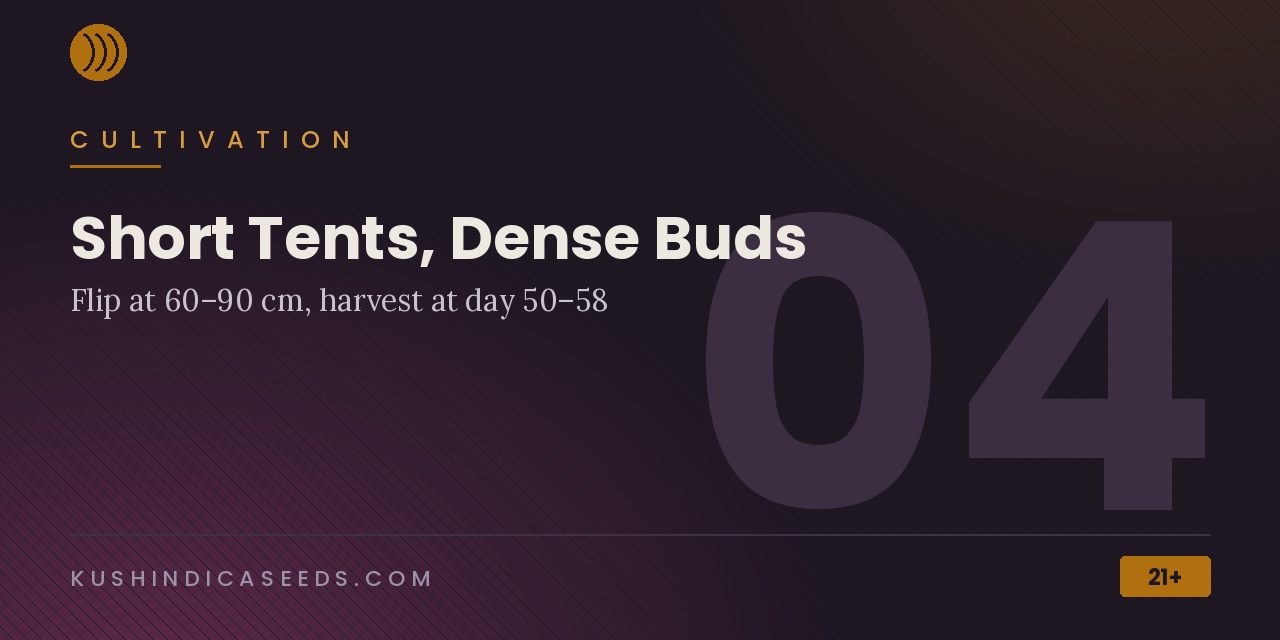 Section banner noting a flip at 60 to 90 centimetres, harvest at day 50 to 58 and late-flower humidity of 35 to 40 percent